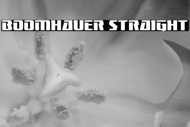 Boomhauer Straight Font examples
