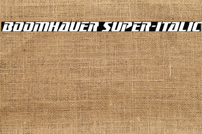 Boomhauer Super-Italic Example 1