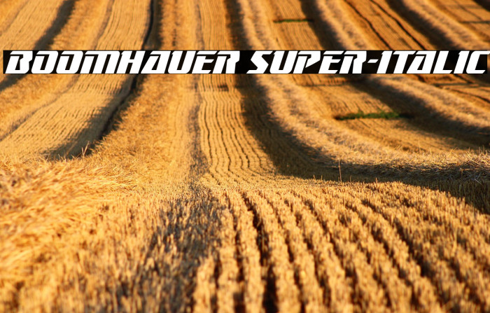Boomhauer Super-Italic Example 2