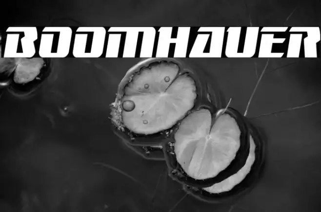 Boomhauer Example 2