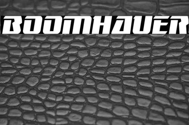 Boomhauer Example 3