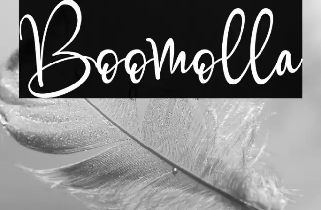Boomolla Font examples