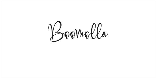 Boomolla Logo