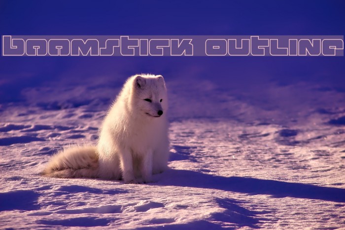 Boomstick Outline Example 3