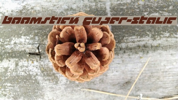 Boomstick Super-Italic Example 2