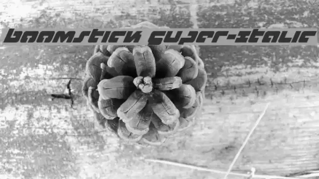 Boomstick Super-Italic Font examples