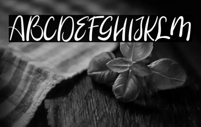 Booncyfly Example 2