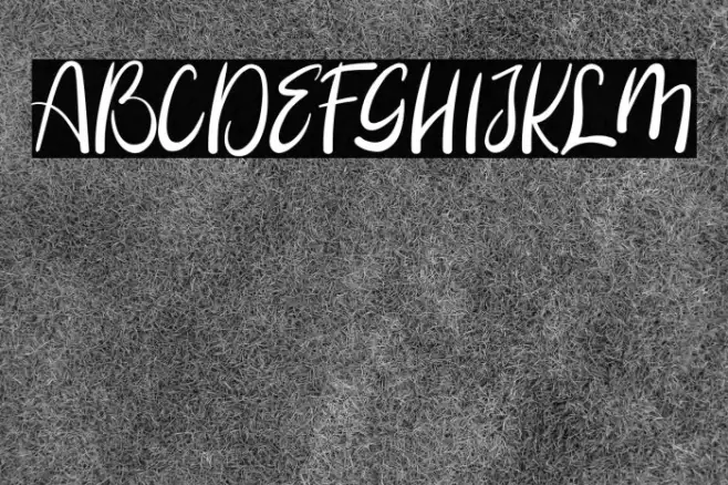 Booncyfly Example 3