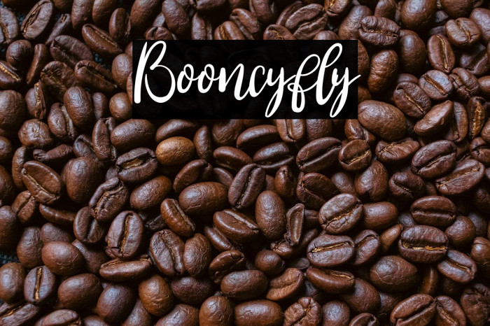 Booncyfly Example 1