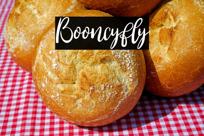 Booncyfly Example 3