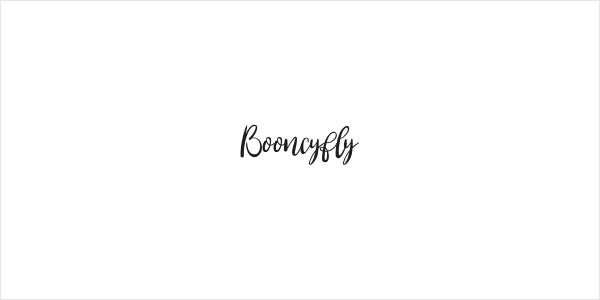 Booncyfly Logo