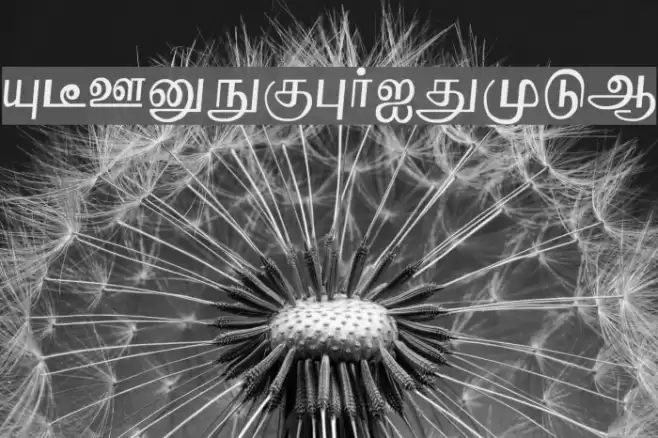 Boopalam Regular Font examples