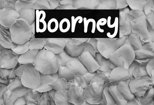 Boorney خط examples