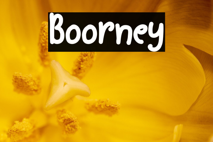 Boorney Example 2