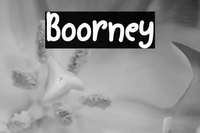 Boorney خط examples