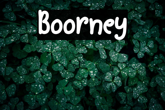 Boorney Example 3