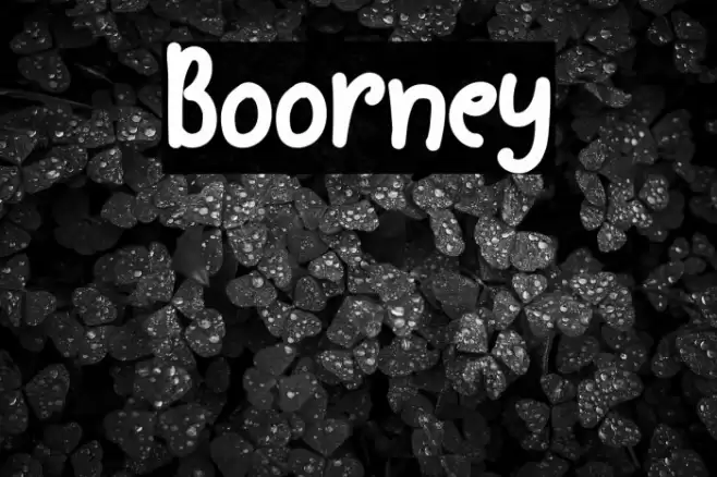 Boorney خط examples