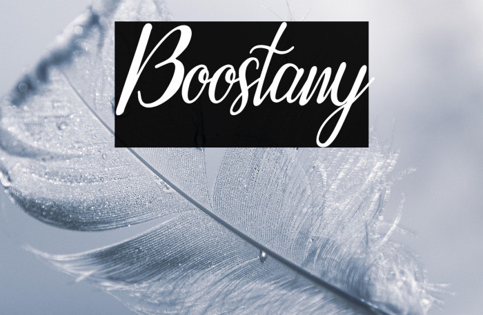 Boostany Example 1