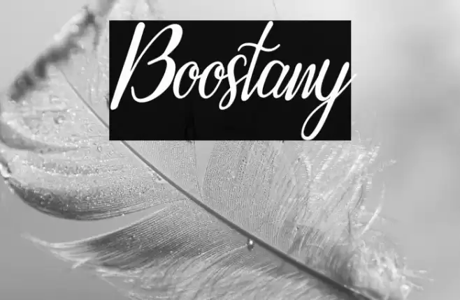 Boostany Font examples