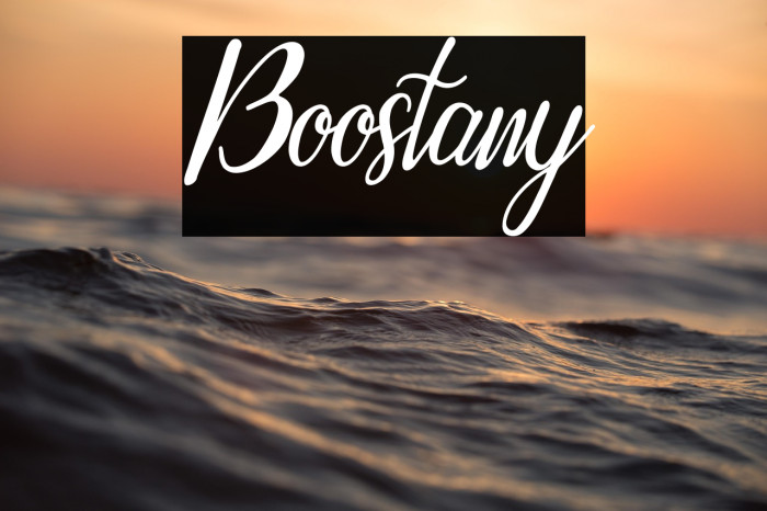 Boostany Example 2