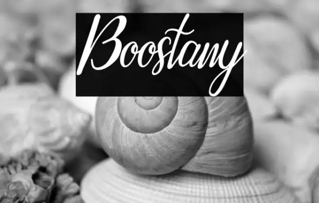 Boostany Font examples