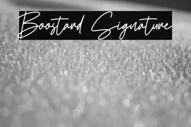 Boostard Signature Font examples