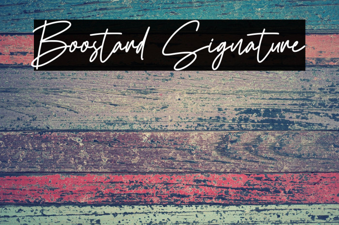 Boostard Signature Example 2