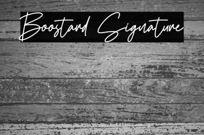Boostard Signature Font examples