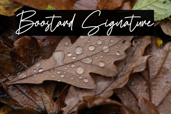 Boostard Signature Example 3