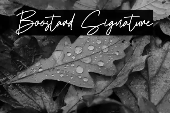Boostard Signature Font examples