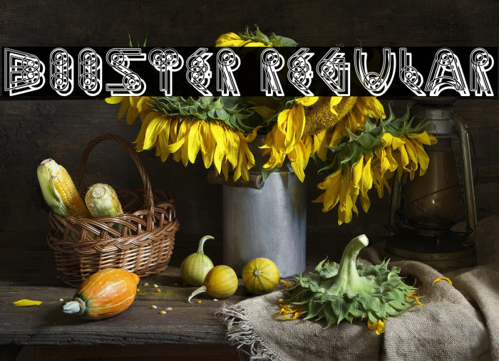 Booster Regular Example 1