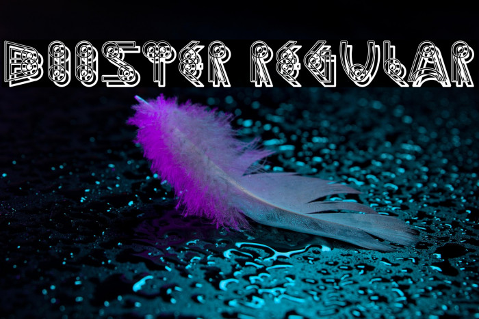 Booster Regular Example 2