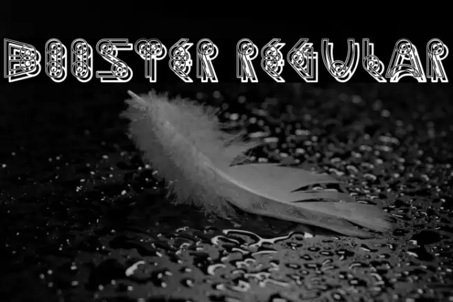 Booster Regular Example 2