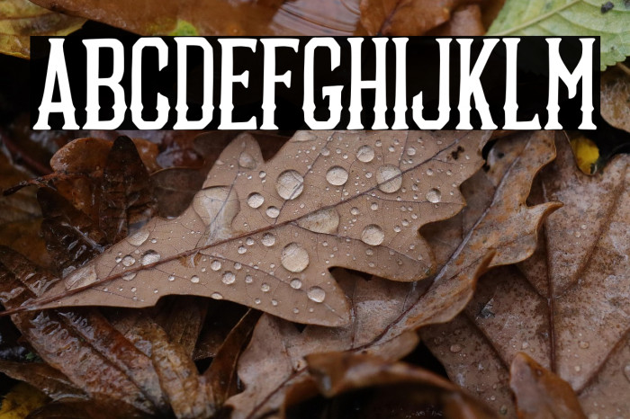 Boosters Personal Use Example 3