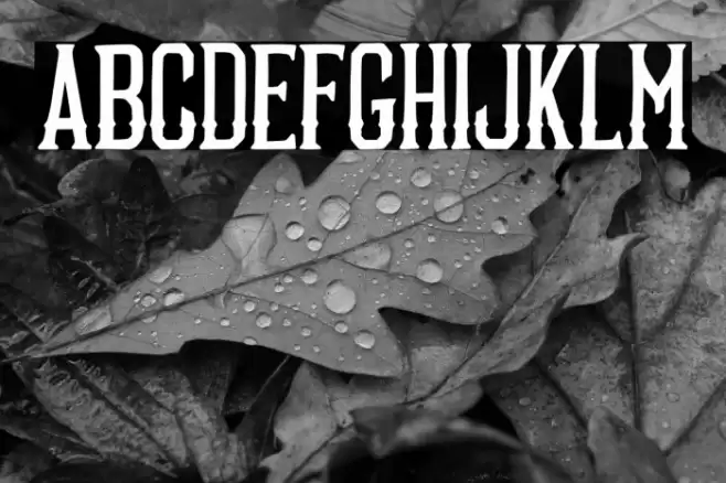 Boosters Personal Use Font examples