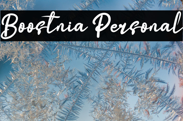 Boostnia Personal Example 1