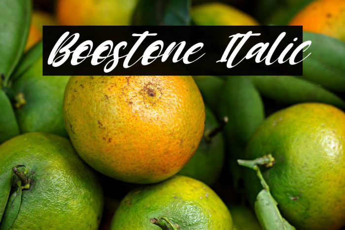 Boostone Italic Example 1