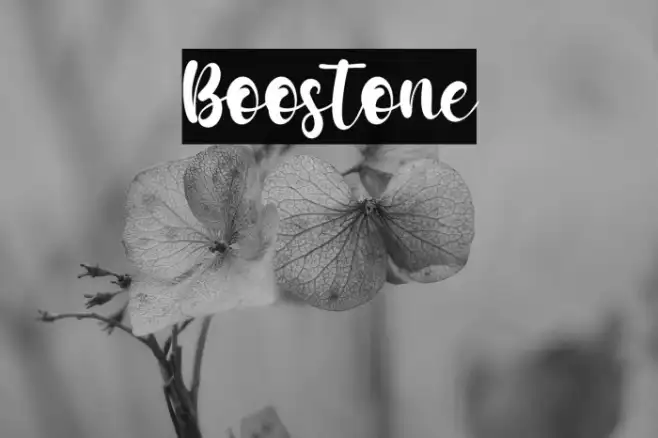 Boostone Example 3