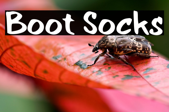 Boot Socks Example 3