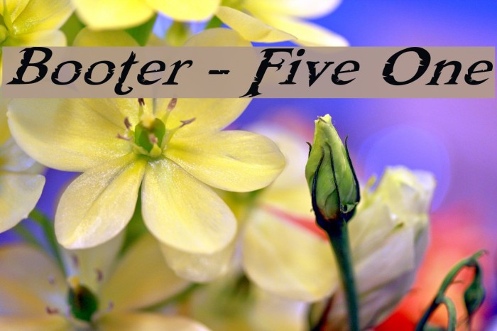 Booter - Five One Font examples