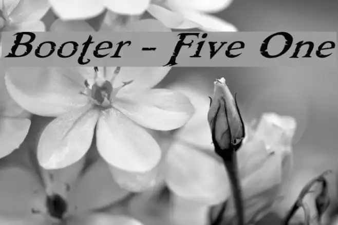 Booter - Five One Example 2