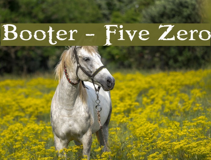 Booter - Five Zero Font examples