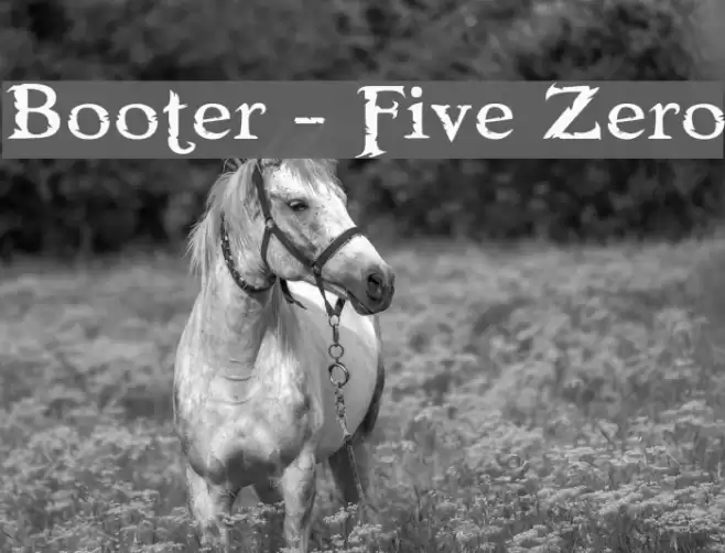 Booter - Five Zero Font examples