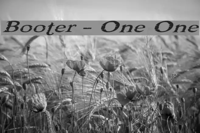 Booter - One One Example 3