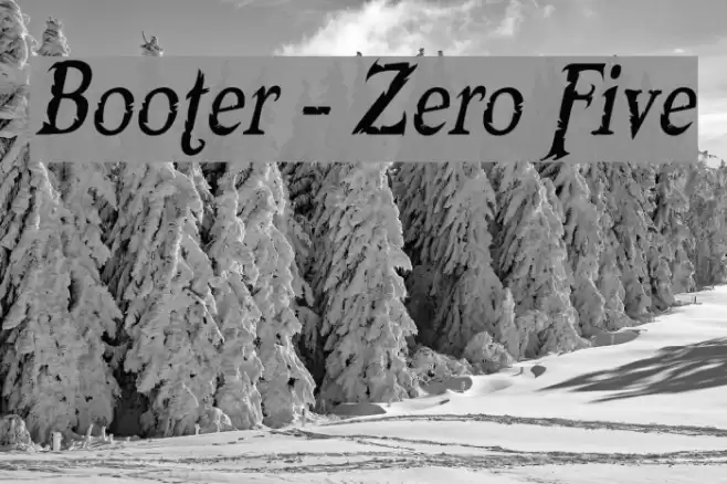 Booter - Zero Five Font examples