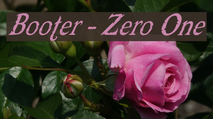 Booter - Zero One Font examples