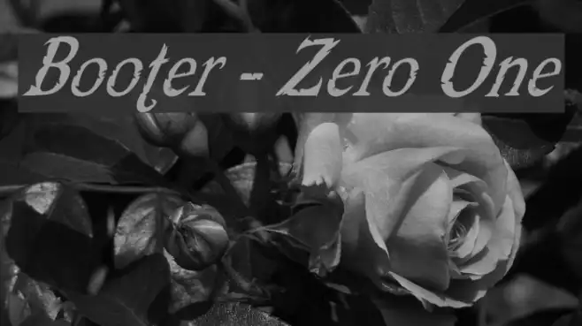 Booter - Zero One Example 1