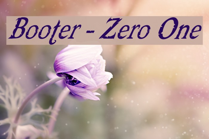 Booter - Zero One Font examples
