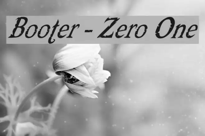 Booter - Zero One Example 2