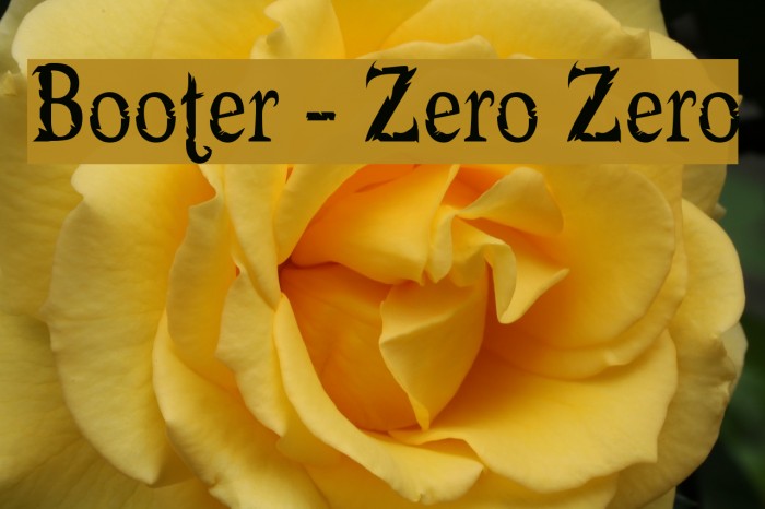 Booter - Zero Zero Font examples